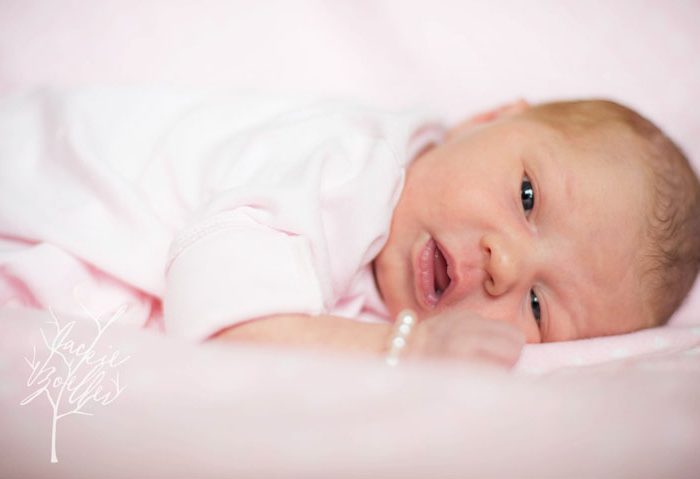 denver newborn photographer